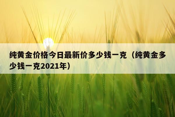 纯黄金价格今日最新价多少钱一克（纯黄金多少钱一克2021年）