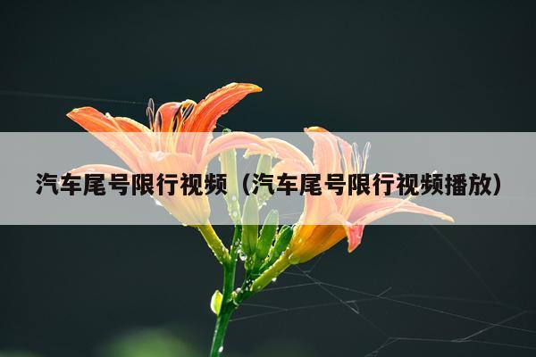汽车尾号限行视频（汽车尾号限行视频播放）