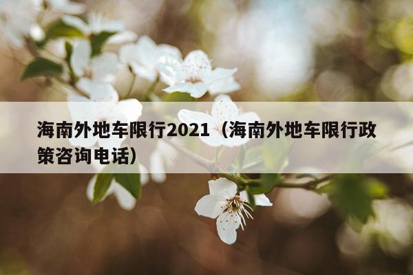 海南外地车限行2021（海南外地车限行政策咨询电话）