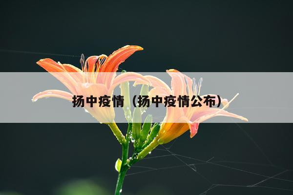 扬中疫情（扬中疫情公布）
