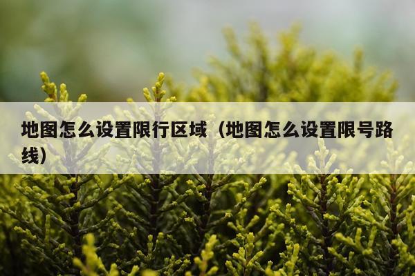 地图怎么设置限行区域(地图怎么设置限号路线)