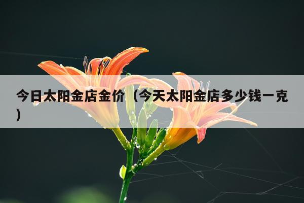 今日太阳金店金价(今天太阳金店多少钱一克)