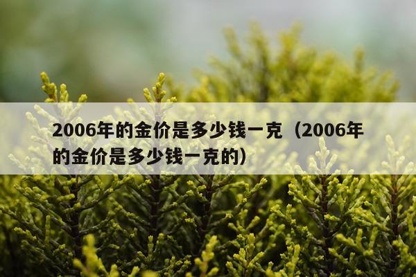 2006年的金价是多少钱一克(2006年的金价是多少钱一克的)
