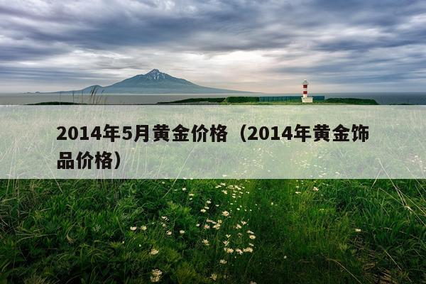 2014年5月黄金价格（2014年黄金饰品价格）