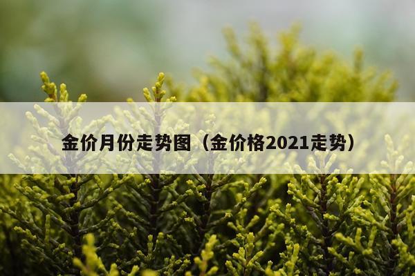 金价月份走势图（金价格2021走势）