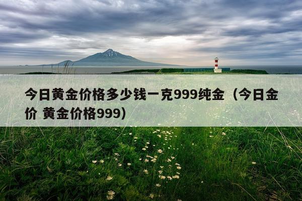 今日黄金价格多少钱一克999纯金（今日金价 黄金价格999）