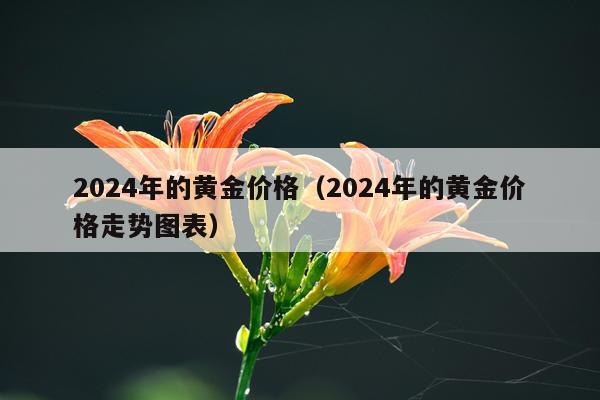 2024年的黄金价格(2024年的黄金价格走势图表)