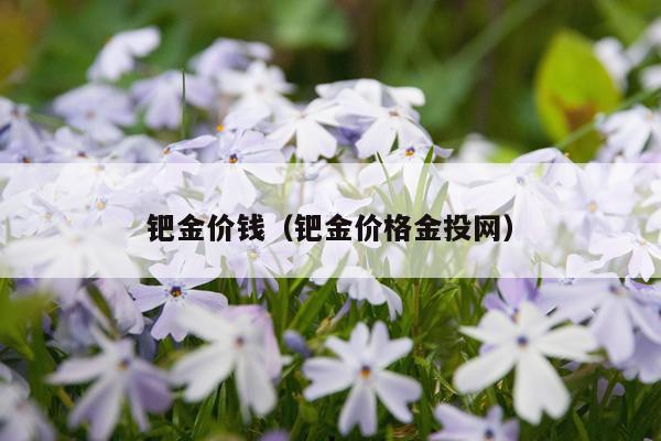 钯金价钱(钯金价格金投网)
