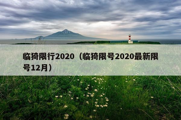 临猗限行2020（临猗限号2020最新限号12月）