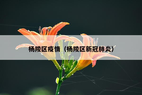 杨陵区疫情(杨陵区新冠肺炎)