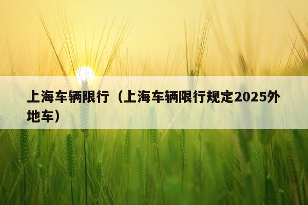 上海车辆限行(上海车辆限行规定2025外地车)