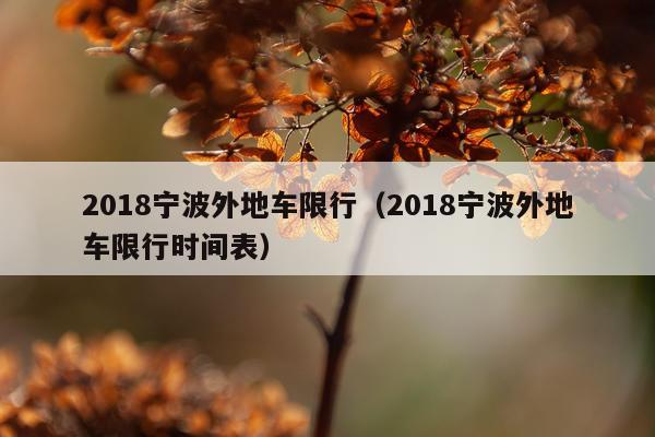 2018宁波外地车限行（2018宁波外地车限行时间表）