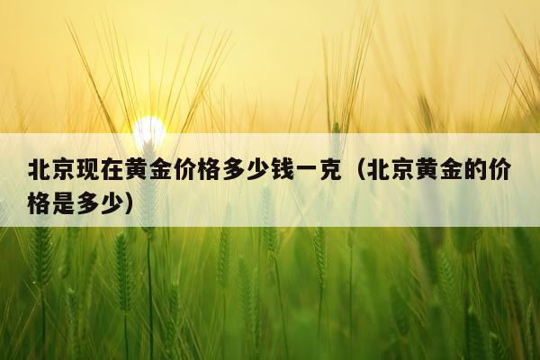 北京现在黄金价格多少钱一克（北京黄金的价格是多少）