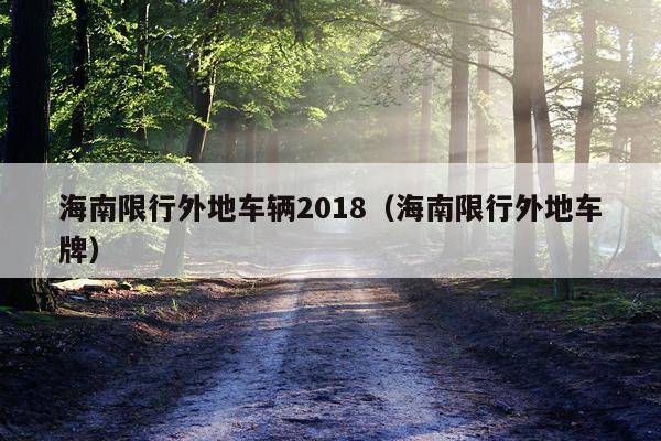 海南限行外地车辆2018(海南限行外地车牌)