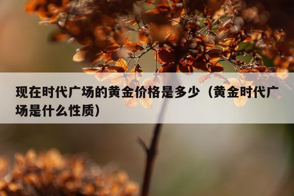 现在时代广场的黄金价格是多少(黄金时代广场是什么性质)