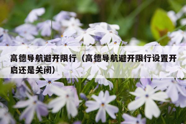 高德导航避开限行(高德导航避开限行设置开启还是关闭)