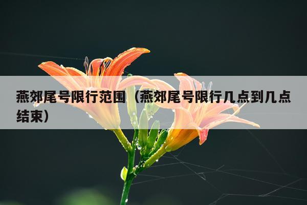 燕郊尾号限行范围（燕郊尾号限行几点到几点结束）