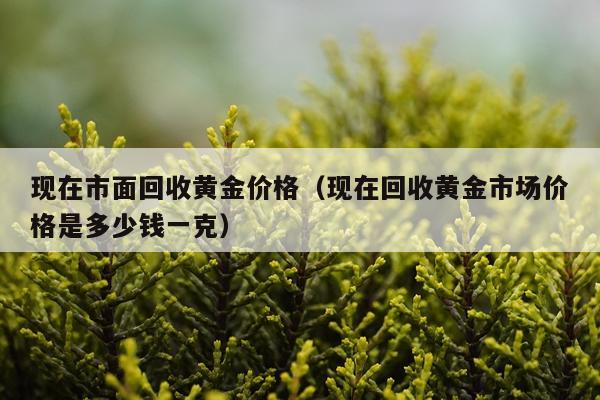 现在市面回收黄金价格（现在回收黄金市场价格是多少钱一克）
