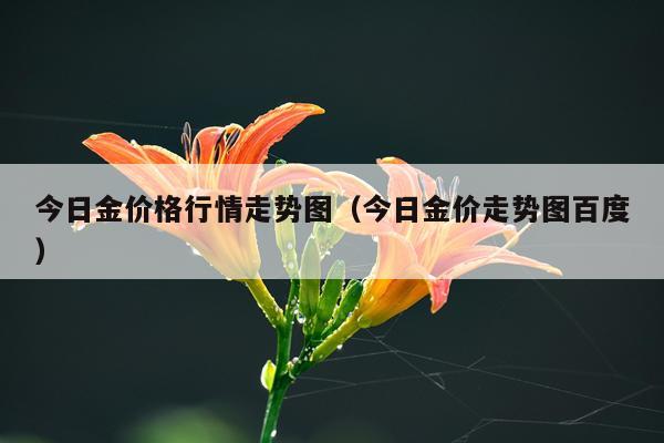 今日金价格行情走势图（今日金价走势图百度）