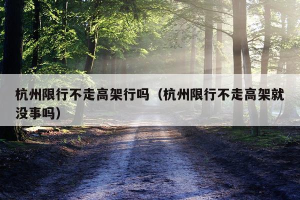 杭州限行不走高架行吗（杭州限行不走高架就没事吗）