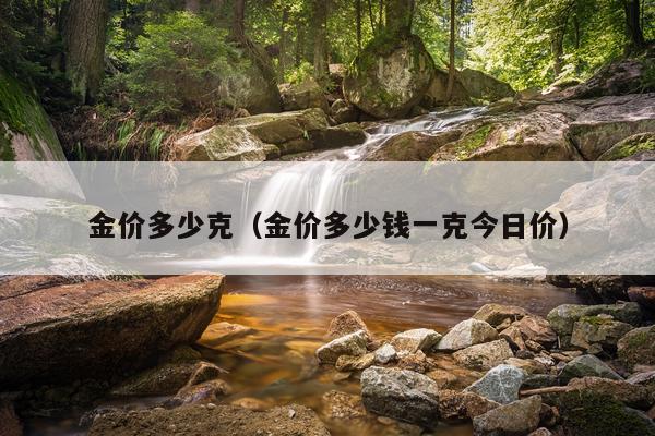 金价多少克（金价多少钱一克今日价）