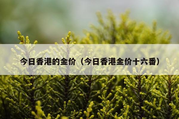 今日香港的金价（今日香港金价十六番）