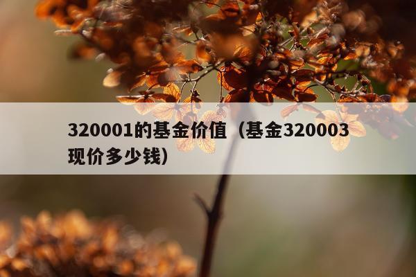 320001的基金价值（基金320003现价多少钱）