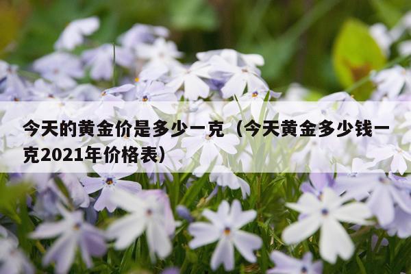今天的黄金价是多少一克（今天黄金多少钱一克2021年价格表）