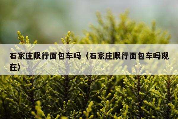 石家庄限行面包车吗(石家庄限行面包车吗现在)