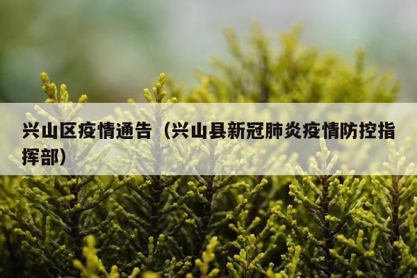 兴山区疫情通告(兴山县新冠肺炎疫情防控指挥部)