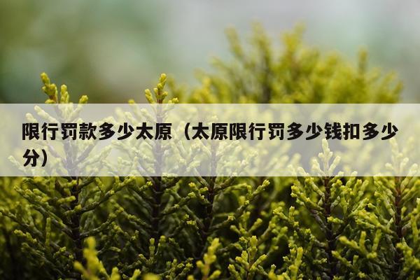 限行罚款多少太原（太原限行罚多少钱扣多少分）