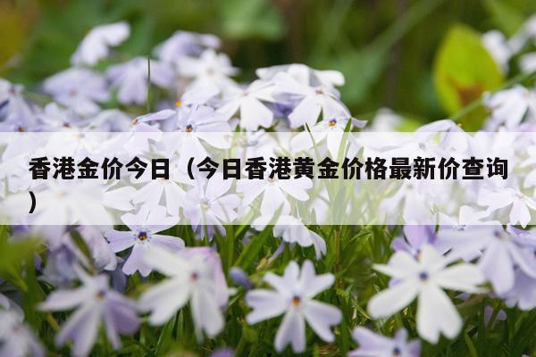香港金价今日（今日香港黄金价格最新价查询）