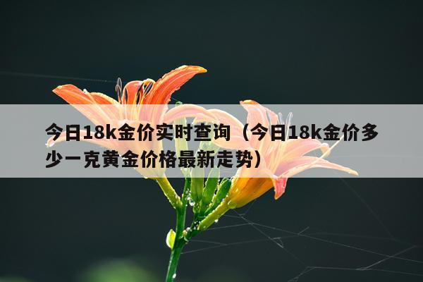 今日18k金价实时查询(今日18k金价多少一克黄金价格最新走势)