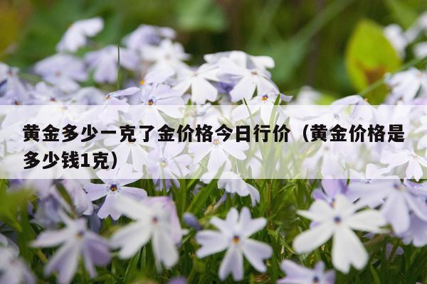 黄金多少一克了金价格今日行价(黄金价格是多少钱1克)