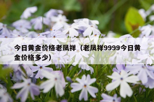 今日黄金价格老凤祥（老凤祥9999今日黄金价格多少）