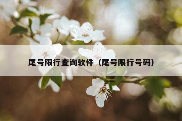 尾号限行查询软件(尾号限行号码)