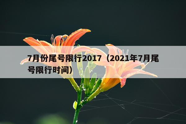 7月份尾号限行2017(2021年7月尾号限行时间)