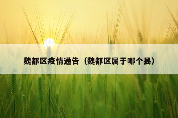 魏都区疫情通告（魏都区属于哪个县）