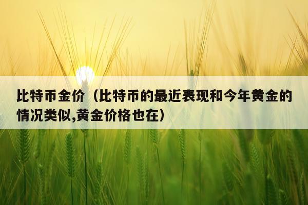 比特币金价（比特币的最近表现和今年黄金的情况类似,黄金价格也在）