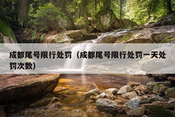 成都尾号限行处罚(成都尾号限行处罚一天处罚次数)