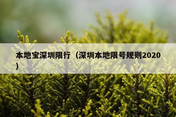 本地宝深圳限行（深圳本地限号规则2020）