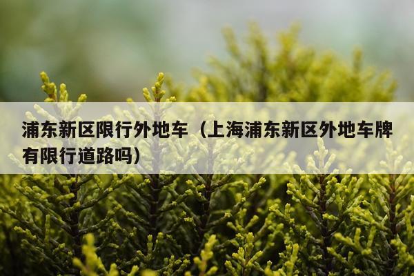 浦东新区限行外地车（上海浦东新区外地车牌有限行道路吗）
