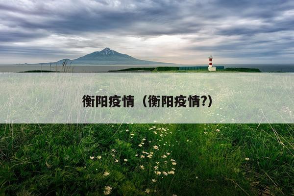 衡阳疫情（衡阳疫情?）