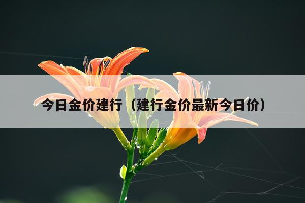 今日金价建行（建行金价最新今日价）