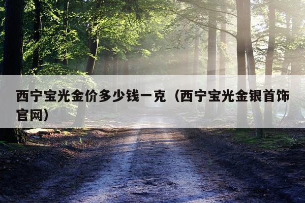 西宁宝光金价多少钱一克(西宁宝光金银首饰官网)
