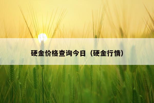 硬金价格查询今日（硬金行情）