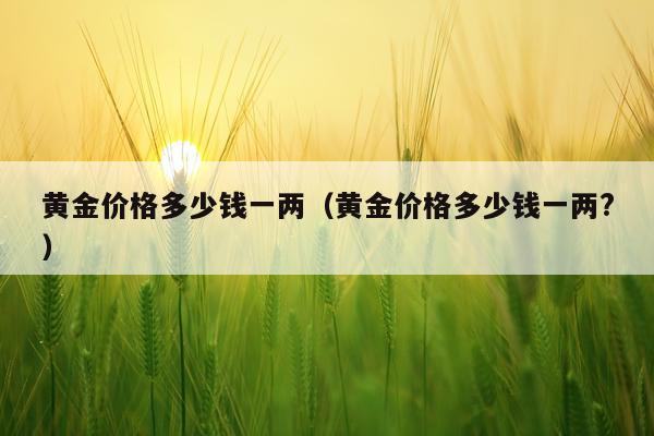 黄金价格多少钱一两（黄金价格多少钱一两?）