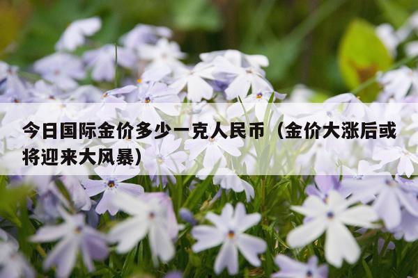 今日国际金价多少一克人民币（金价大涨后或将迎来大风暴）