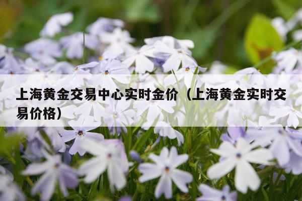 上海黄金交易中心实时金价（上海黄金实时交易价格）