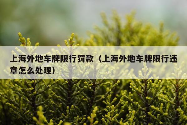 上海外地车牌限行罚款（上海外地车牌限行违章怎么处理）